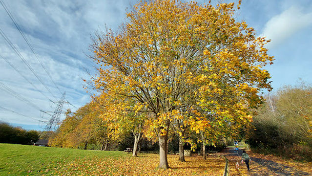 Newburn Activity Centre