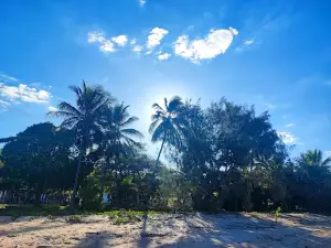 Clairview Beach Holiday Park