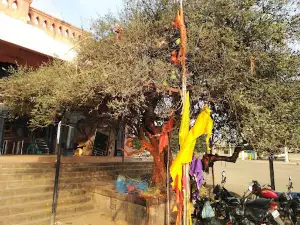 Bhakta Niwas, Biroba Mandir Arewadi