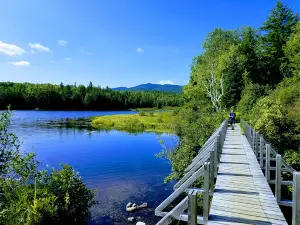 Bigelow Preserve