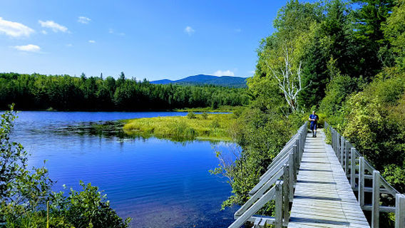 Bigelow Preserve