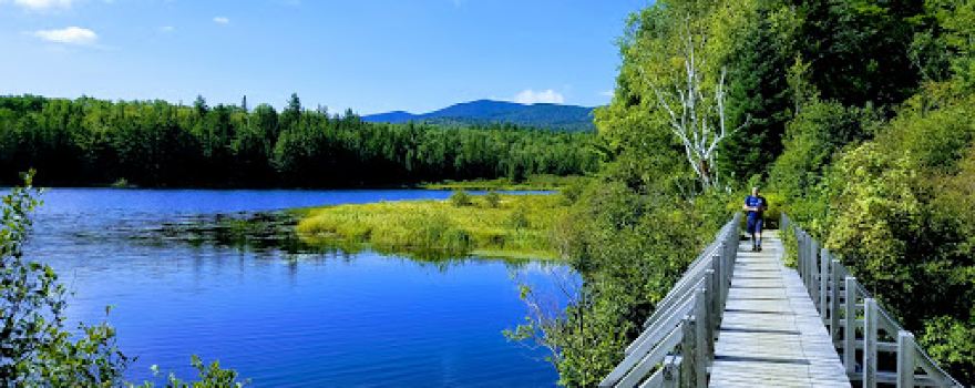 Bigelow Preserve