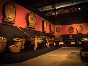 Museo del Vino