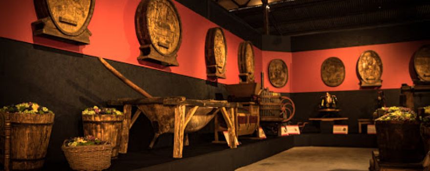 Museo del Vino