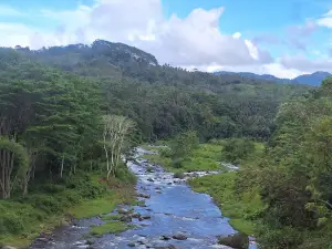 Mount Malindang