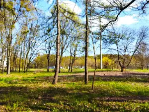 парк Машиностроителей