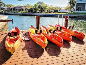 Kayak Marco - Rentals & Tours