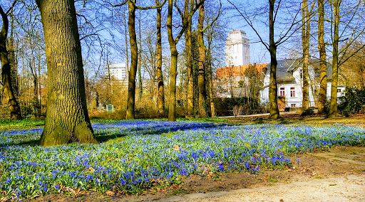 Burginsel Delmenhorst