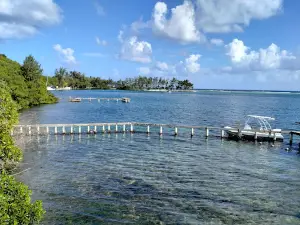 Arch's Iguana and Marine Park