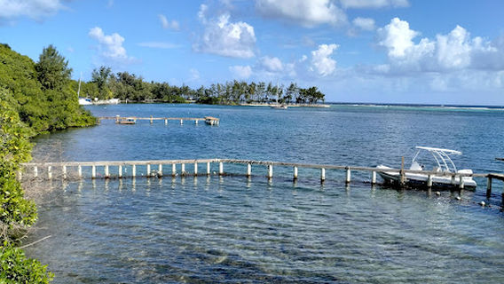 Arch's Iguana and Marine Park