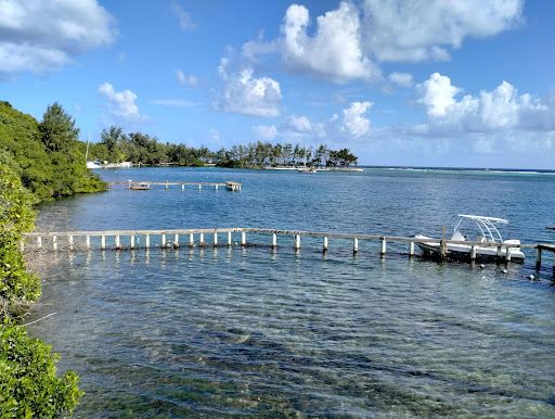 Arch's Iguana and Marine Park
