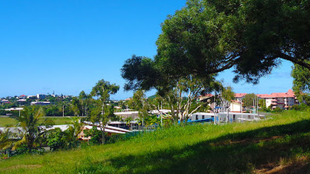 Magenta Climbing Wall