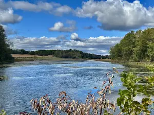 Northern Montezuma Wildlife Management Area