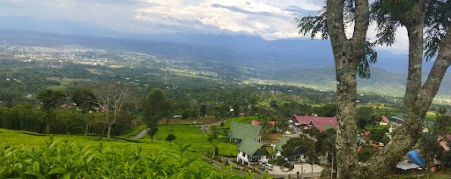 Pagar alam