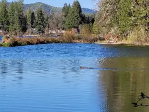 Lake Selmac Park