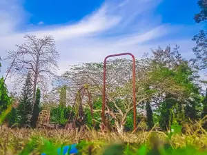 Tamulpur park