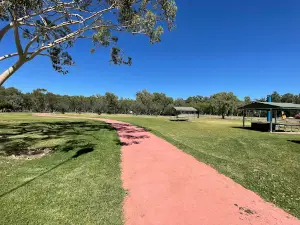 Lions Park