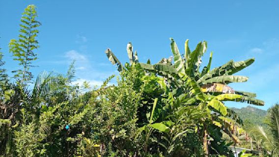 Arawa Botonical Garden