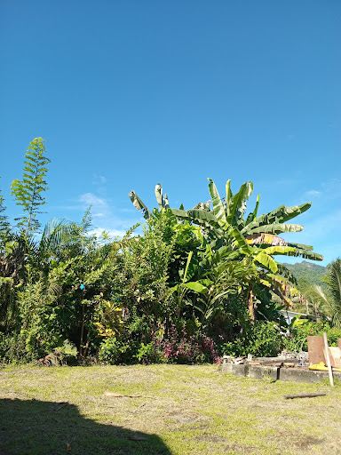 Arawa Botonical Garden