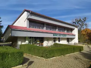 Sanatoriul "Codru"