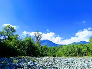 Lagodekhi's Managed Reserve