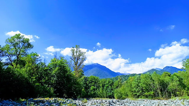 Lagodekhi's Managed Reserve
