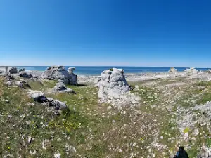 Langhammarsgubben - Raukar