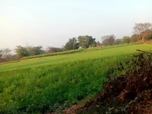 Phulpur Station Pond
