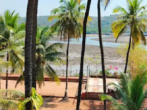 Wadekar Kaka Kandalvan Safari, Mangrove Safari Malvan