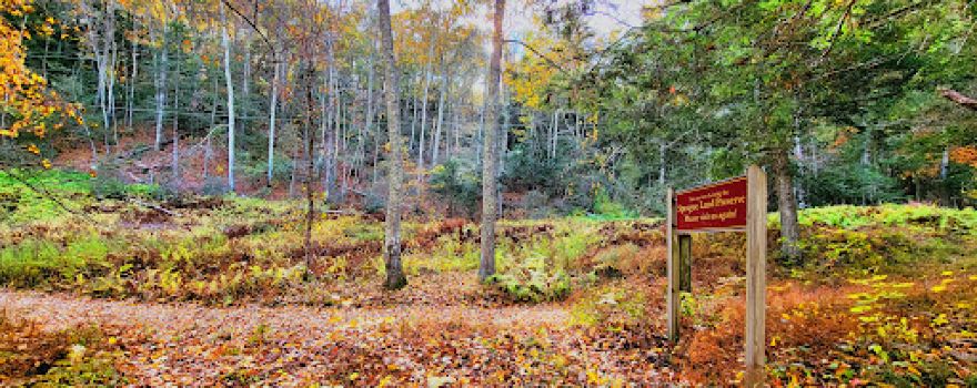 Sprague Land Preserve