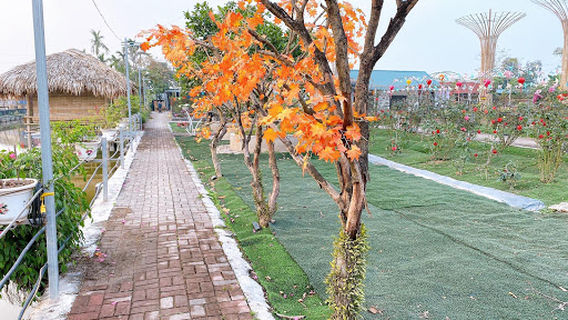 Happy Farm ( Hà Nam ) - Trang Trại Trải Nghiệm