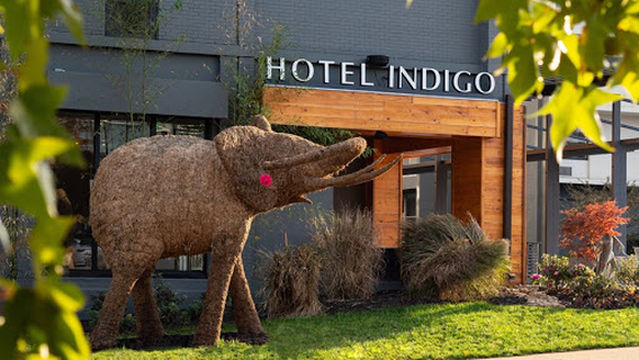 The Dinner Detective True Crime Murder Mystery Dinner Show - Chattanooga, TN