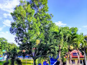 Sapi-an Park