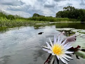 Kasanka National Park