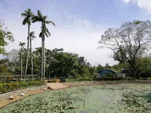 Rukmani Devi Park