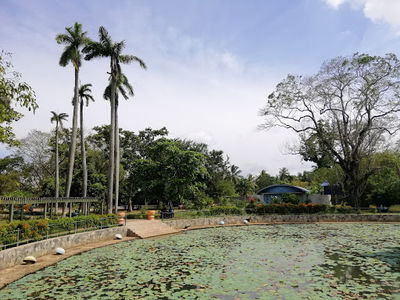 Rukmani Devi Park