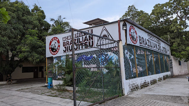 Black shark jiu jitsu academy