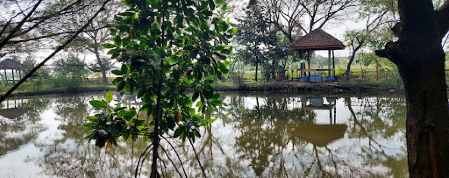 Taman Hutan Raya Pakal
