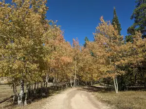 Bear Trap County Park