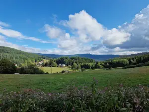 Alsace Adventure Park