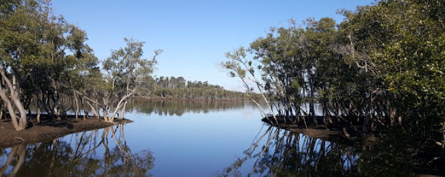 Kooragang Wetland Rehabilitation Project