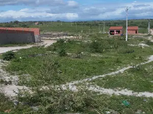 Campo Palmeirinhas