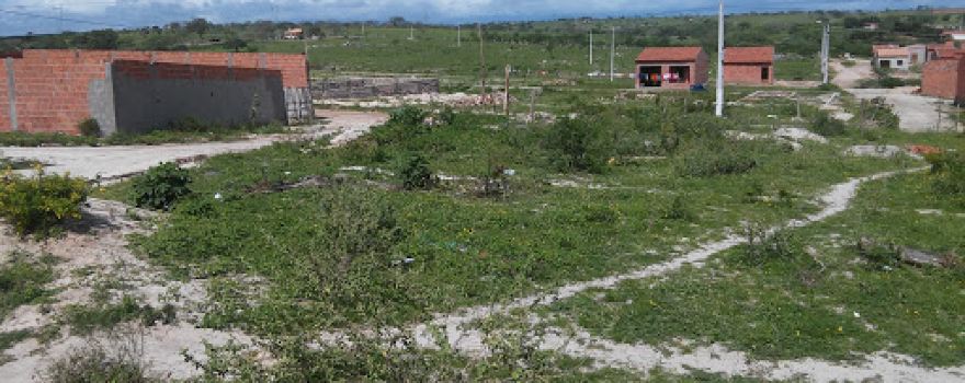 Campo Palmeirinhas