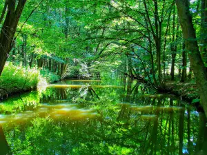Barycz Valley Landscape Park