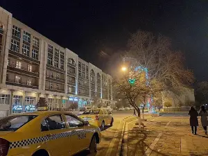 Böyük bağ