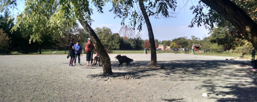 Mason District Off-Leash Dog Park