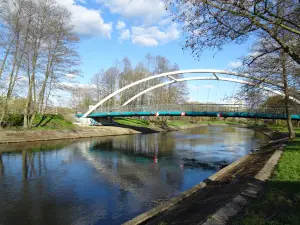 Park na Wyspie
