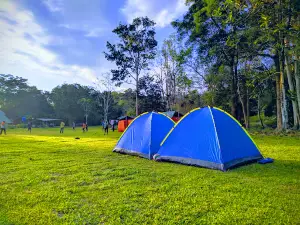 Serinsim Substation, Kinabalu Park