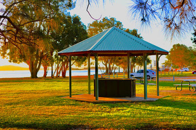 Pelican Foreshore