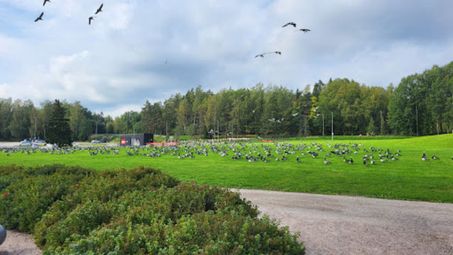 Oittaa Angry Birds Park